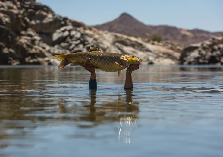 ORANGE RIVER CAMP 