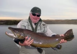 History of Sea Run Brown Trout