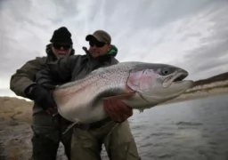 Rainbow Trout Fly Fishing