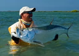 Describe a tarpon: Brutal