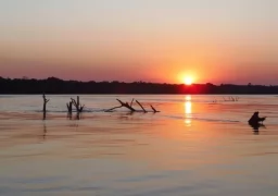 Upper Parana for Golden Dorado