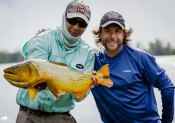 Golden Dorados in Esquina I