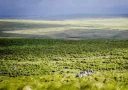 Beautiful landscape
