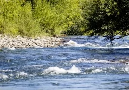 Chimehuin river 