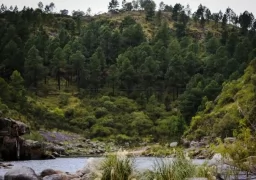 The Stormy Highlands of Cordoba