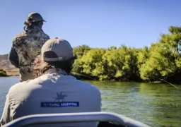 Pointer Fly Fishing