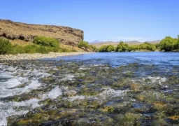 An incredible river