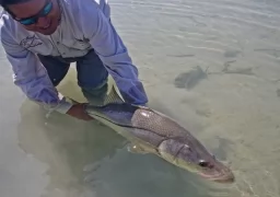 Fly fishing Casa Blanca