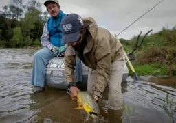 Dorados in Juramento River Salta Part I