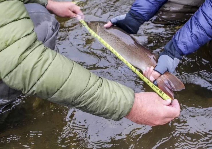 Amazing Taimen Fly Fishing in Mongolia - Part 2