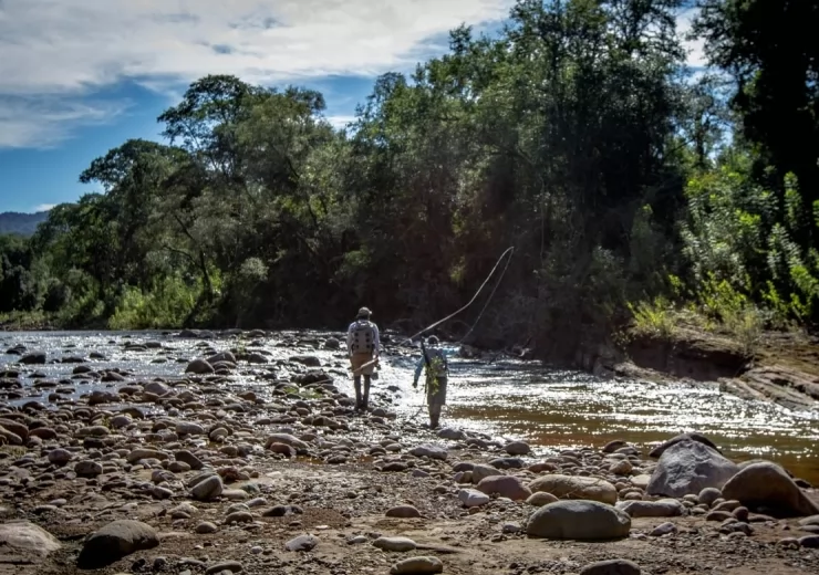 Rio Dorado is a Dream