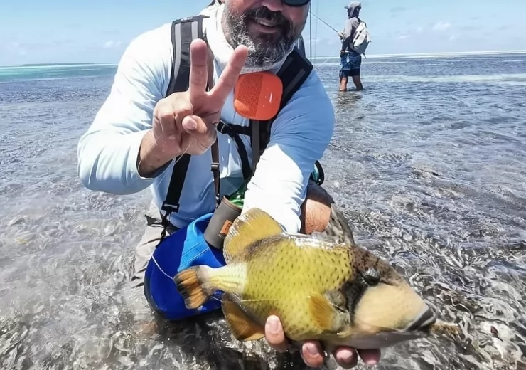 MOUSTACHE TRIGGERFISH