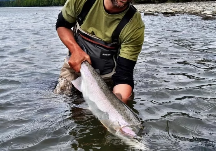 STEELHEAD 