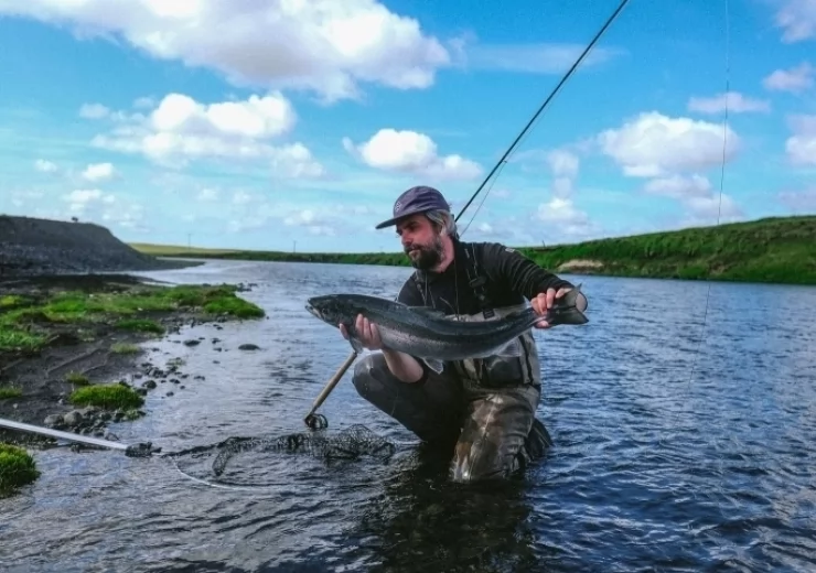 Atlantic Salmon 