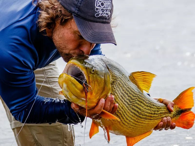 🐟 SUPER BOTTLE 🐟 for GOLDEN FISHING, TARARIRAS. Leon Fishing 