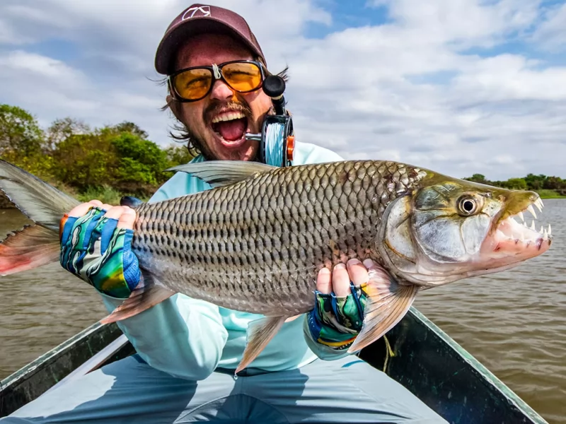 Tiger Fish  Pointer Fly Fishing