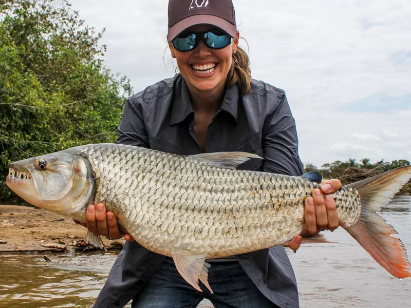 Tiger Fish  Pointer Fly Fishing