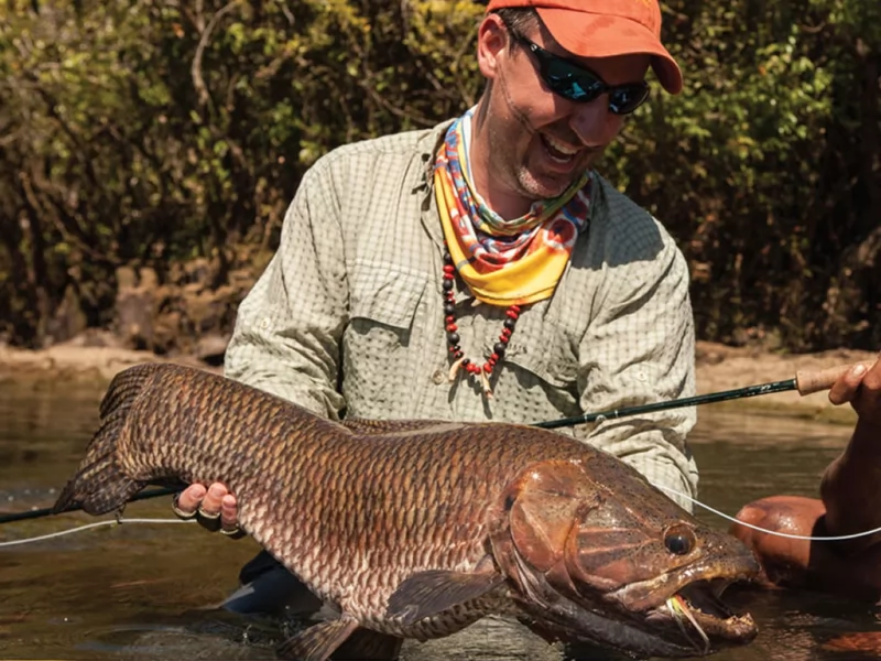 freshwater wolf fish species