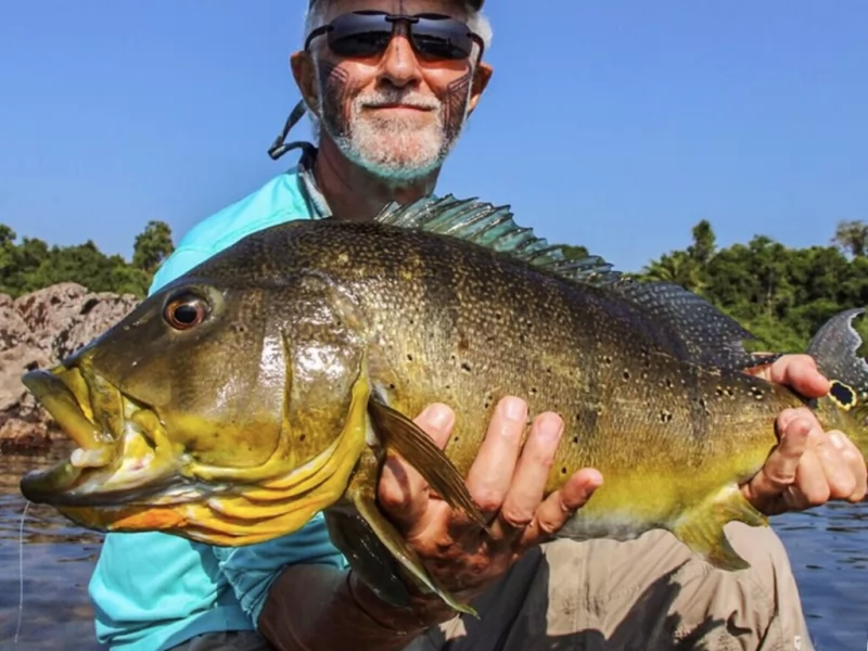 Top 15 Peacock Bass Flies for Fly Fishing