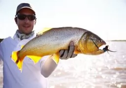 Golden Dorado - San Javier