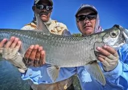 Tarpon Fly Fishing