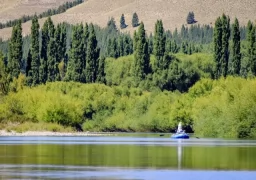 Chimehuin River with Pointer Outfitters