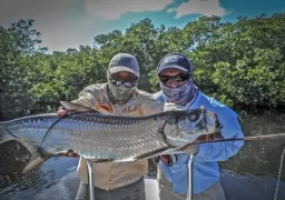 Solo Tarpon