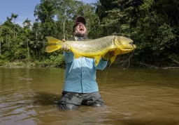 Giant Dorado Agua Negra Bolivia - Tsimane Lodges