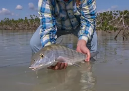 Fly Fishing in Abaco Bahamas