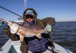 Redfish in South Louisiana Marshes