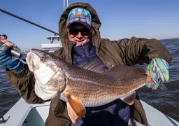 Redfish in Louisiana Marshes