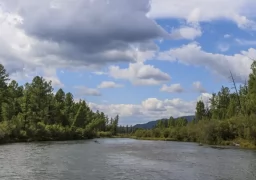 Fly fishing for Taimen & Leisure in Mongolia Pointer FLY