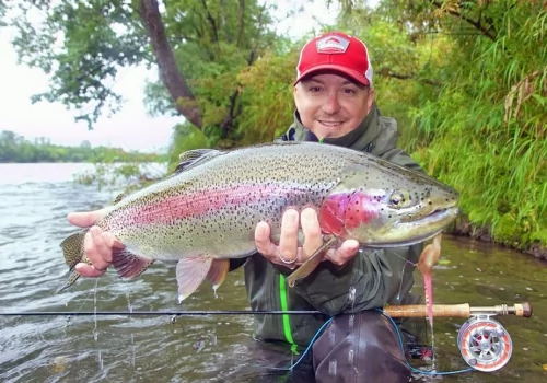 HEAD RANGER GAZZA DIXON FISHING DRY FLIES