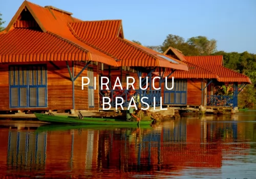 PIRARUCU LODGE 