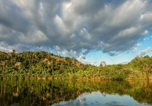 kENDJAM - Heart of the Amazon 