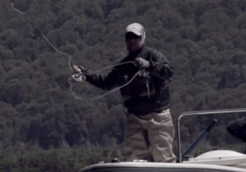 Brown & Rainbow Trout Fly Fishing/ Patagonia.