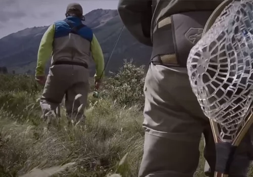 Amazing Fly Fishing Trout in our secret “Jackson River”