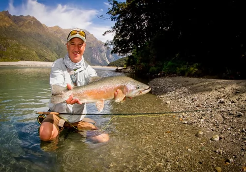 LARGE BROWNS IN NZ
