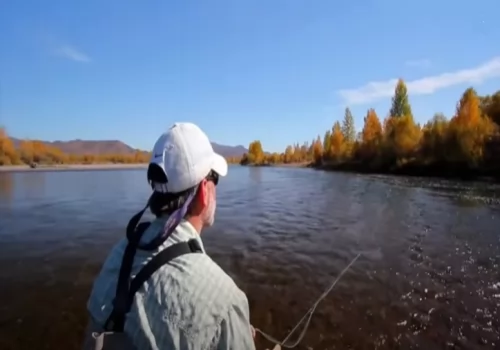 Fly FIshing for Taimen