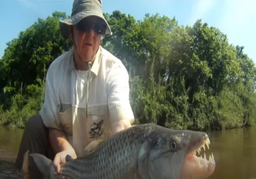 STRIPED WATERDOGS OF TANZANIA