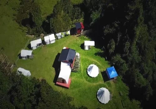 Austral Kings Camp Essence