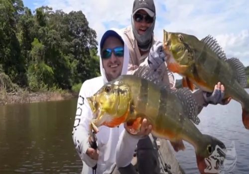 PEACOCK BASS FLY FISHING