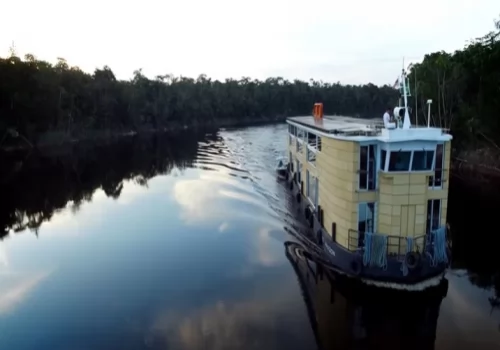 The ultimate peacock bass fly fishing experience in Amazon