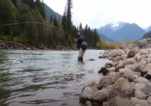 Skeena Steelhead 2020