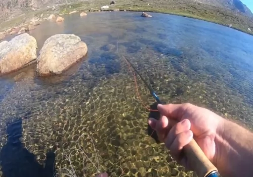 Fly fishing for Arctic Char, Greenland 2019