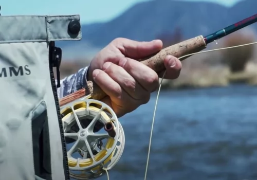Fly Fishing for  Brown Trout in the Madison River