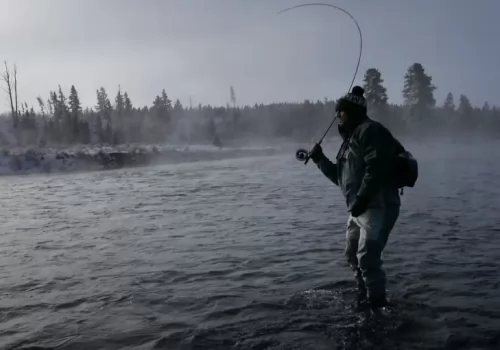 Montana Fall Run Brown Trout Fishing