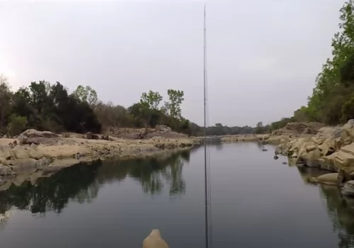 Nile Perch in Cameroon