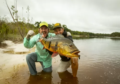 Brazil Peacock Bass/ Marie River!