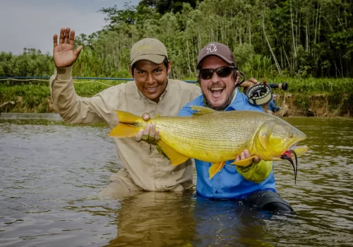 Fly Fishing Giant Dorado!